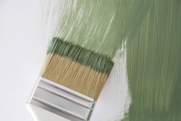 Trusted Fall River, MA Mold Removal Experts