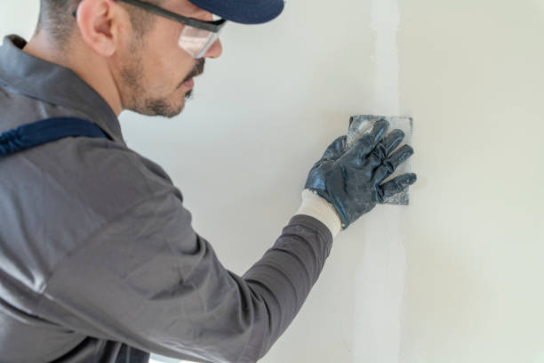 Best Mold Damage Restoration  in Fall River, MA