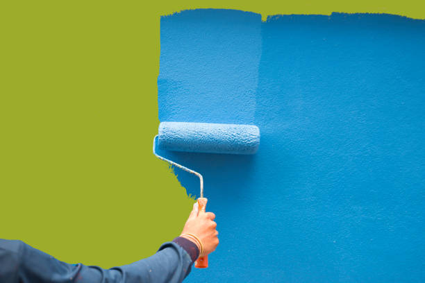 Mold Documentation for Insurance Claims in Fall River, MA